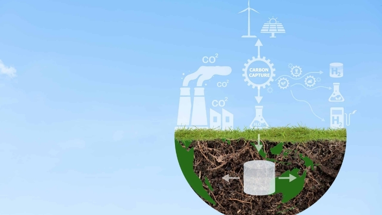 Export Edge: Gulf Producers Link Hydrogen to Carbon Strategy