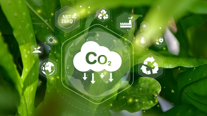 The Race to Build the Gulf’s Carbon Backbone