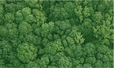 Carbon Capture, Europe 2026